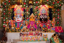 Daily Darshan