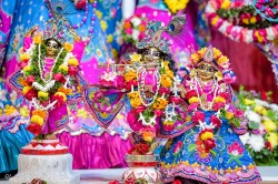 Daily Darshan