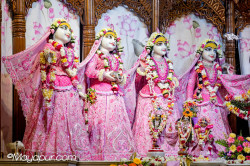 Daily Darshan