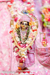 Daily Darshan