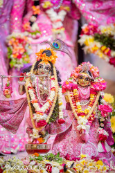 Daily Darshan