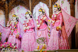 Daily Darshan