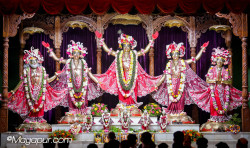 Daily Darshan