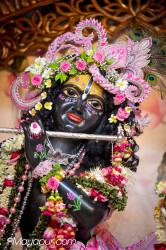 Daily Darshan
