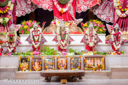 Daily Darshan
