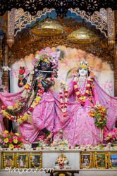Daily Darshan