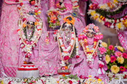 Daily Darshan