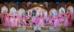 Daily Darshan