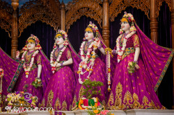 Daily Darshan