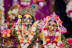 Daily Darshan