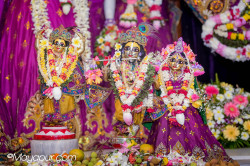 Daily Darshan