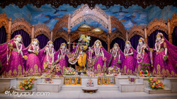 Daily Darshan