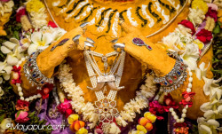 Daily Darshan