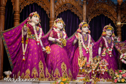 Daily Darshan