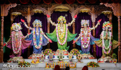 Daily Darshan