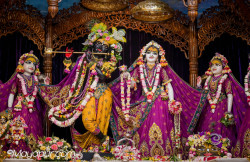 Daily Darshan