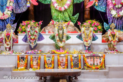 Daily Darshan
