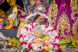 Daily Darshan