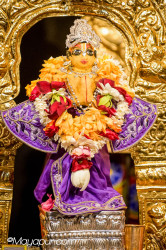 Daily Darshan