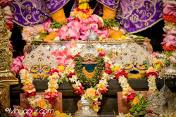 Daily Darshan