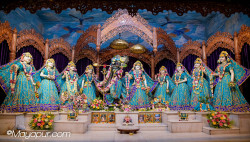 Daily Darshan