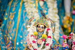 Daily Darshan