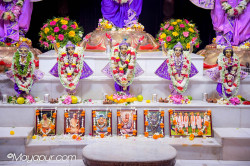 Daily Darshan