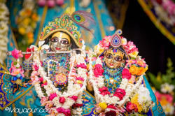 Daily Darshan