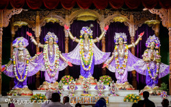 Daily Darshan