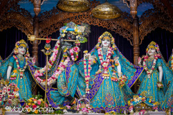 Daily Darshan