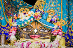 Daily Darshan