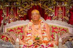 Daily Darshan