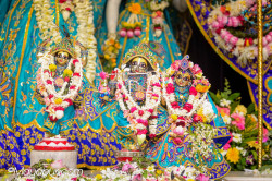 Daily Darshan