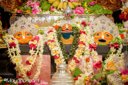 Daily Darshan