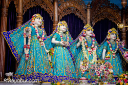 Daily Darshan