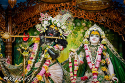Daily Darshan