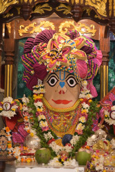 Daily Darshan