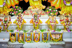 Daily Darshan