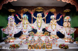 Daily Darshan