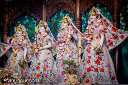 Daily Darshan