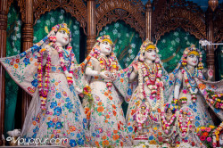 Daily Darshan
