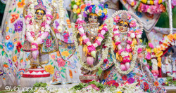 Daily Darshan