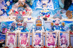 Daily Darshan