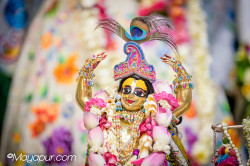 Daily Darshan