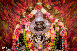 Daily Darshan