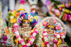 Daily Darshan
