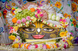 Daily Darshan