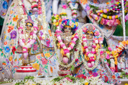 Daily Darshan