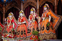 Daily Darshan