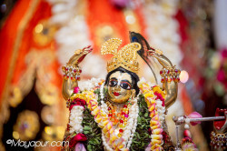 Daily Darshan